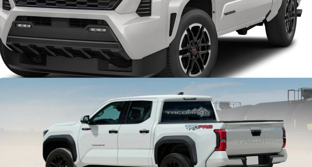 Best Auto Export Dubai in City Walk Dubai