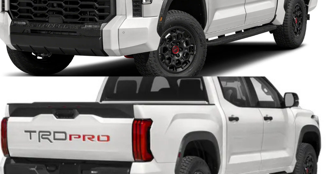 Best Auto Export Dubai in Dubai Maritime City Dubai